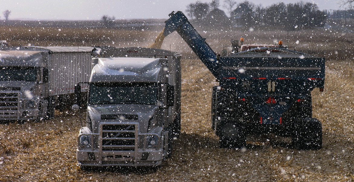 AGRI-COVER Roll Tarps