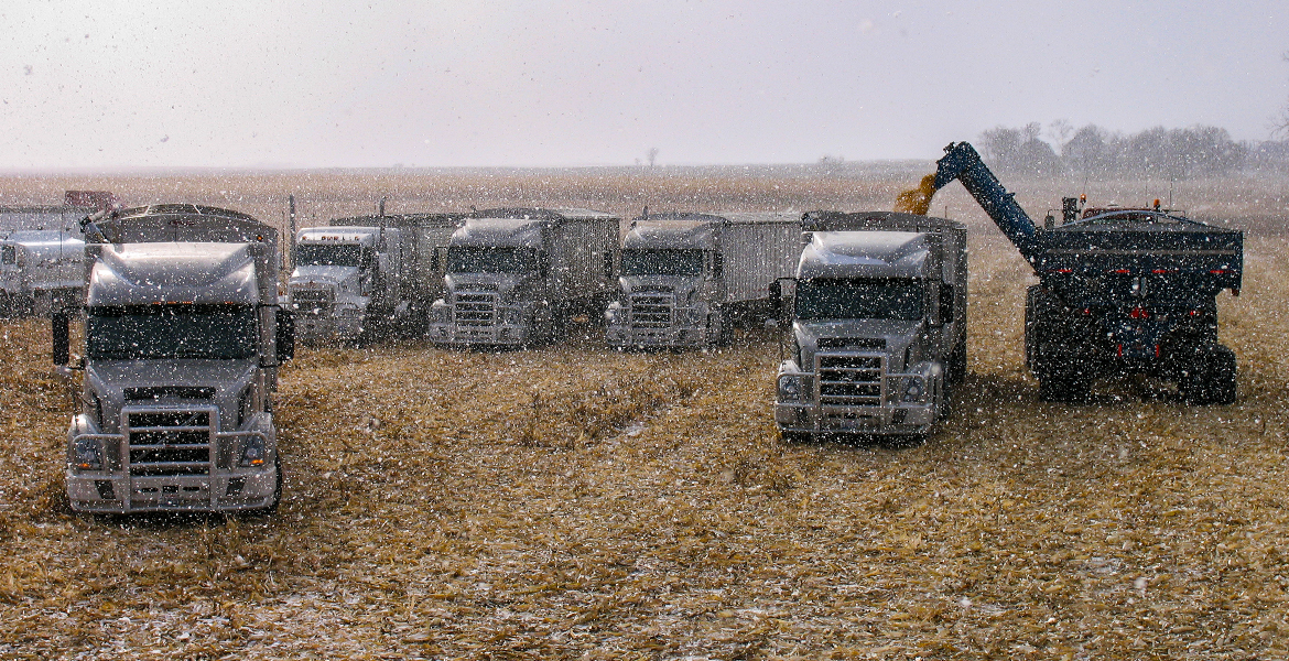 AGRI-COVER Side Locking Tarp